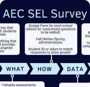 You are currently viewing AEC SEL survey overview